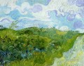Campos de trigo verdes Vincent van Gogh